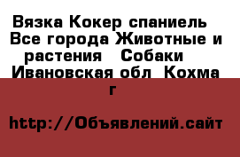 Вязка Кокер спаниель - Все города Животные и растения » Собаки   . Ивановская обл.,Кохма г.